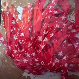 24- gift bags with ribbon and decorative tags